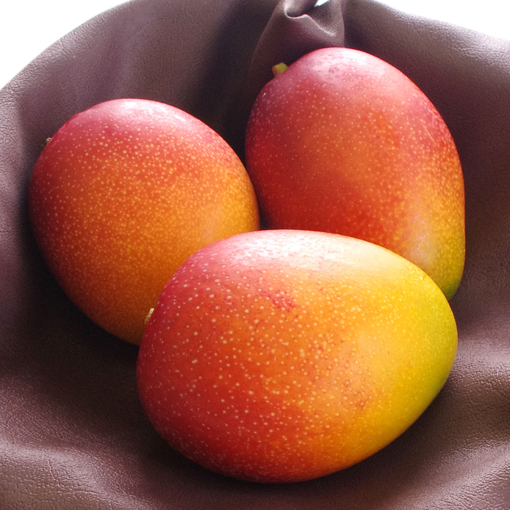 where to buy mkyazaki mango