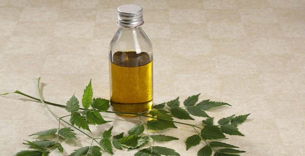 How to Use Neem Oil For Hair How to use Neem Oil For Hair