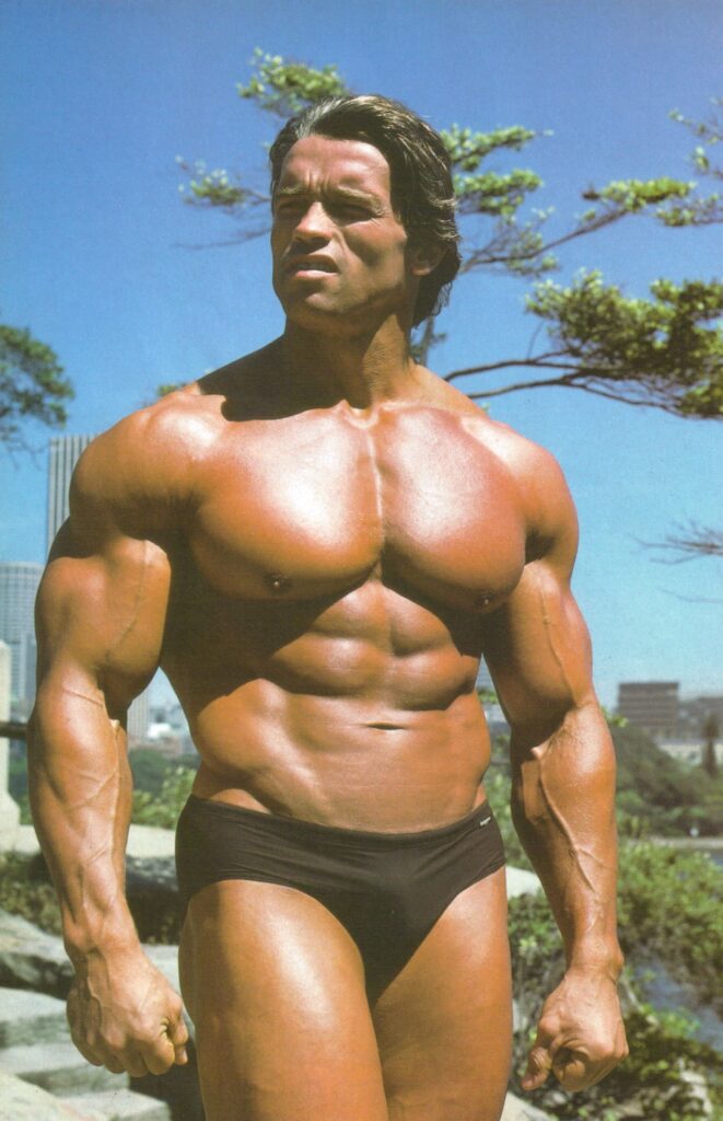 Arnold Schwarzenegger Volume Workout Routines