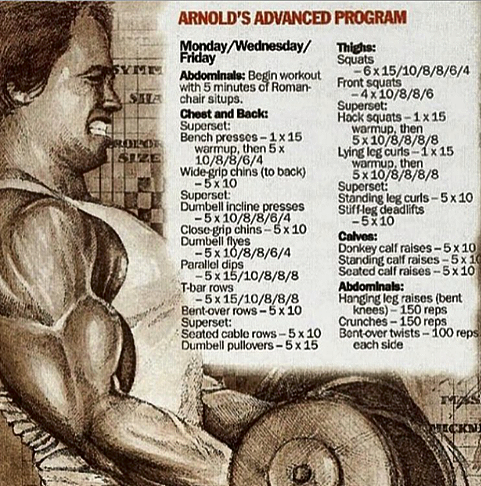 Arnold Schwarzenegger Workout Plan